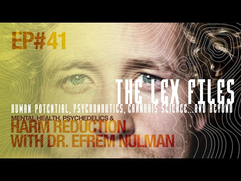 Mental Health, Psychedelics & Harm Reduction with Dr. Efrem Nulman | Ep. 41 | The Lex Files