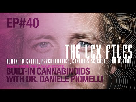 Anandamide, PEA & Your Body’s Built-In Cannabinoids with Dr. Daniele Piomelli | The Lex Files | Ep. 40