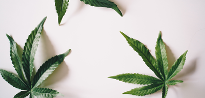 CBD vs CBG- Everything you need to know