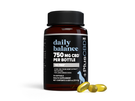 Daily Balance Pet CBD Softgels 25mg 30ct